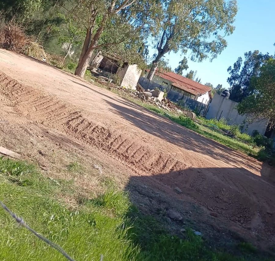 Platea zona norte